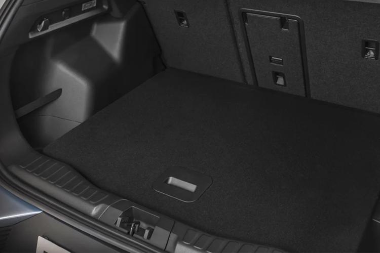 3942631 125kW Premium 52kWh 5dr Auto [Driver Assist Pack]